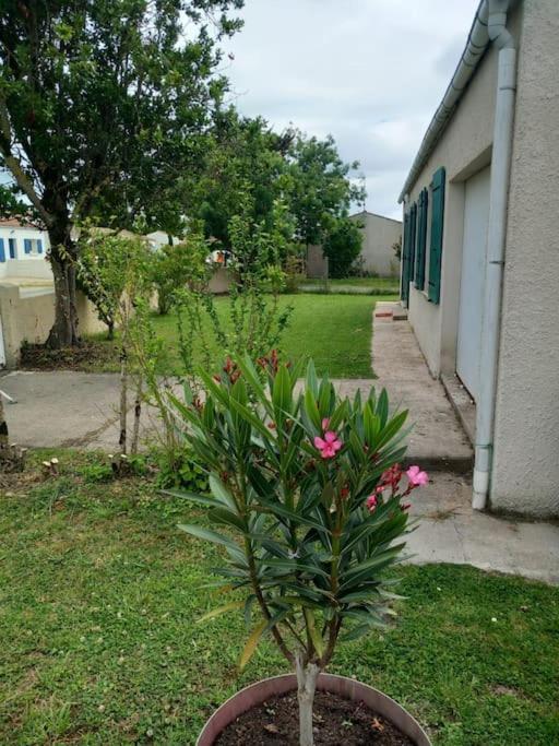 Fleur De Sel D Oleron 3 Chambres Ле-Шато-д'Олерон Экстерьер фото